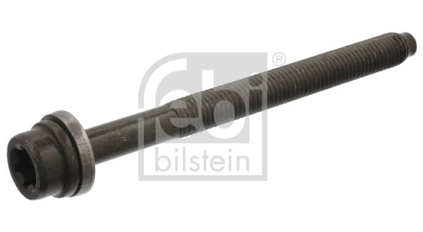 FEBI BILSTEIN cilindro galvutės varžtas 14356